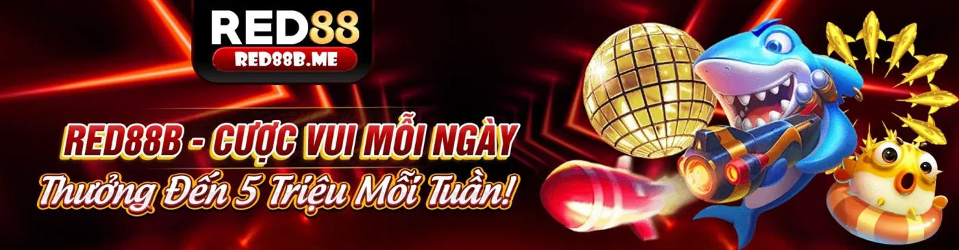 Ứng dụng NN88N trên điện thoại